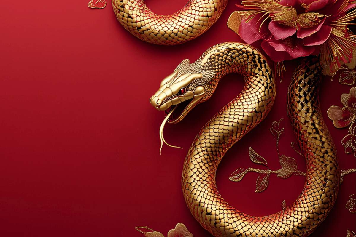 ano-da-serpente-1