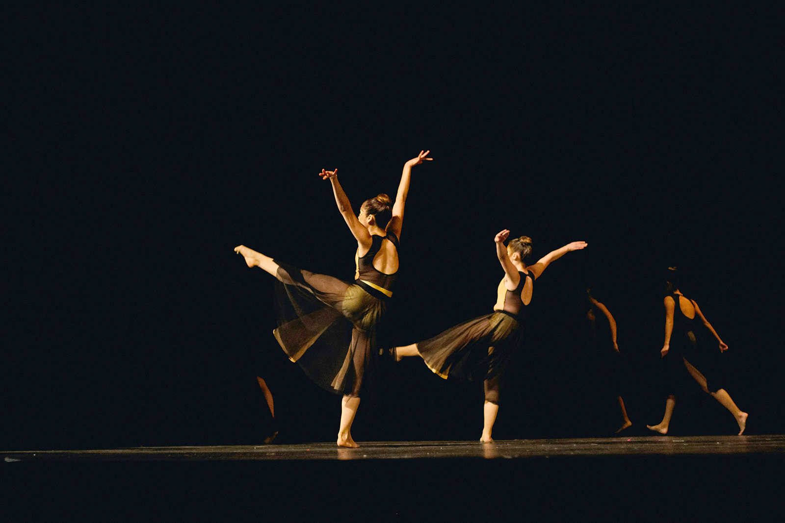 videodanca